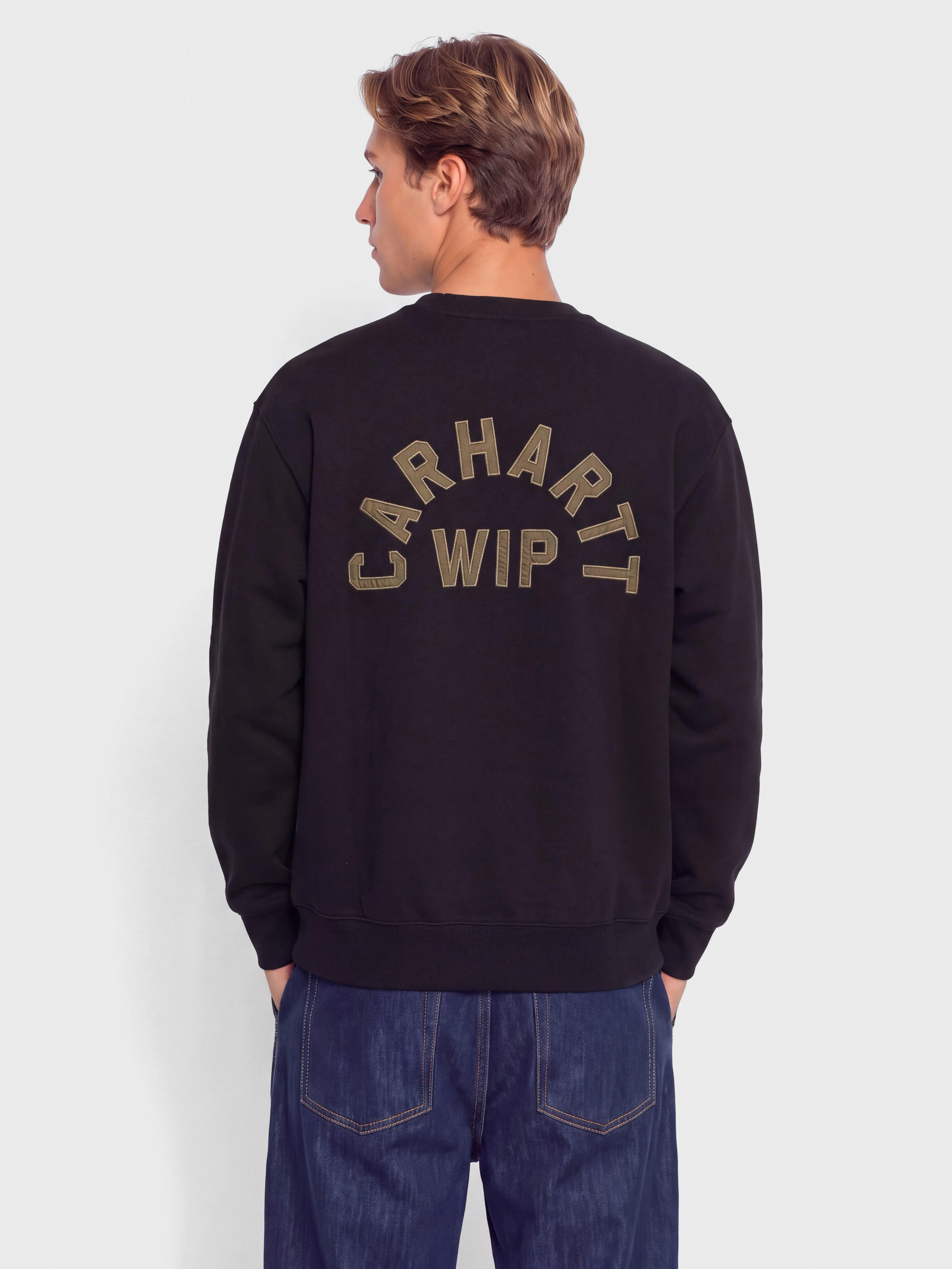 Bluza Carhartt WIP Arch Script (black/hamilton brown/stone washed)