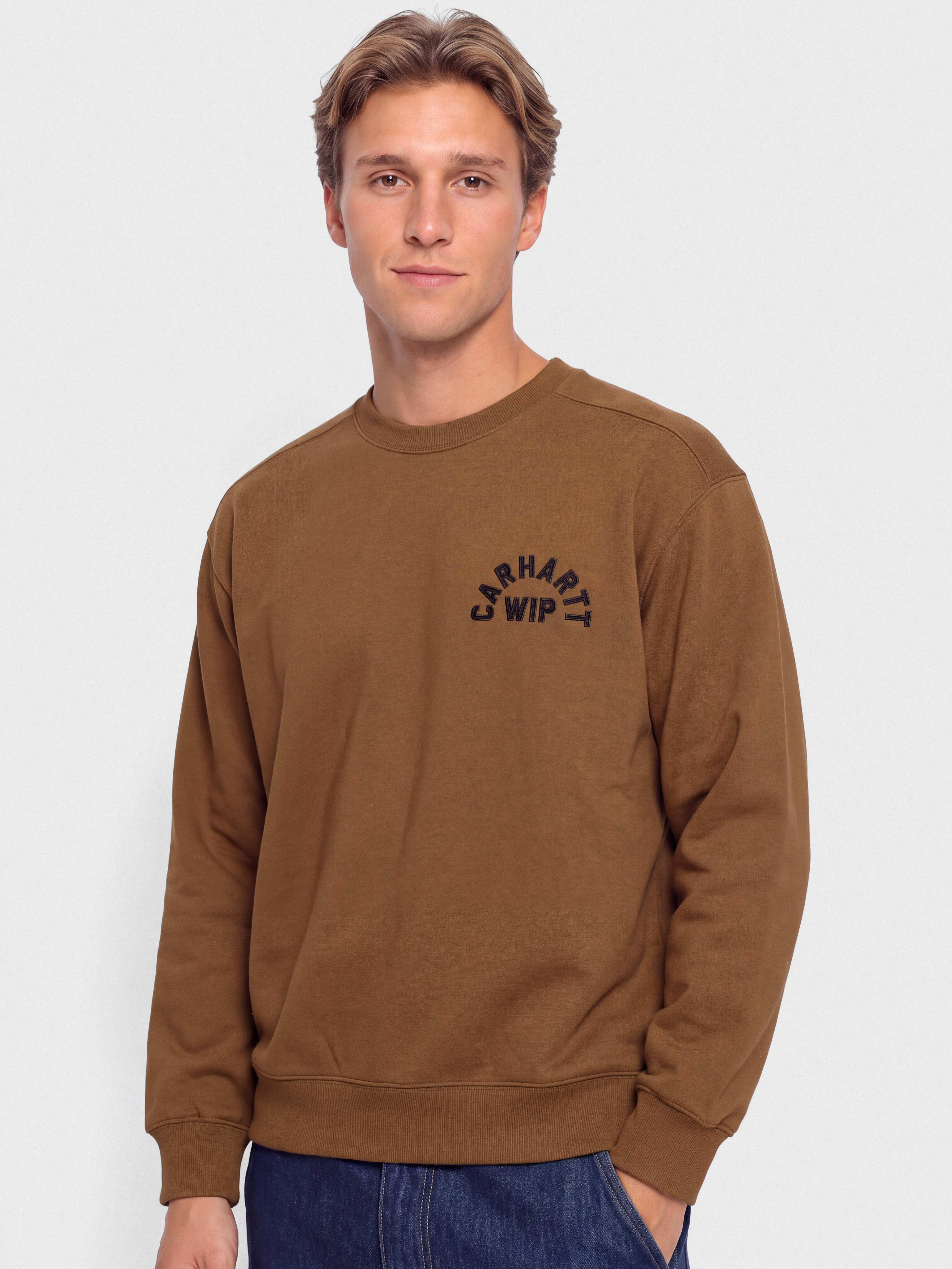 Bluza Carhartt WIP Arch Script (wip h brown/black/stone washed)