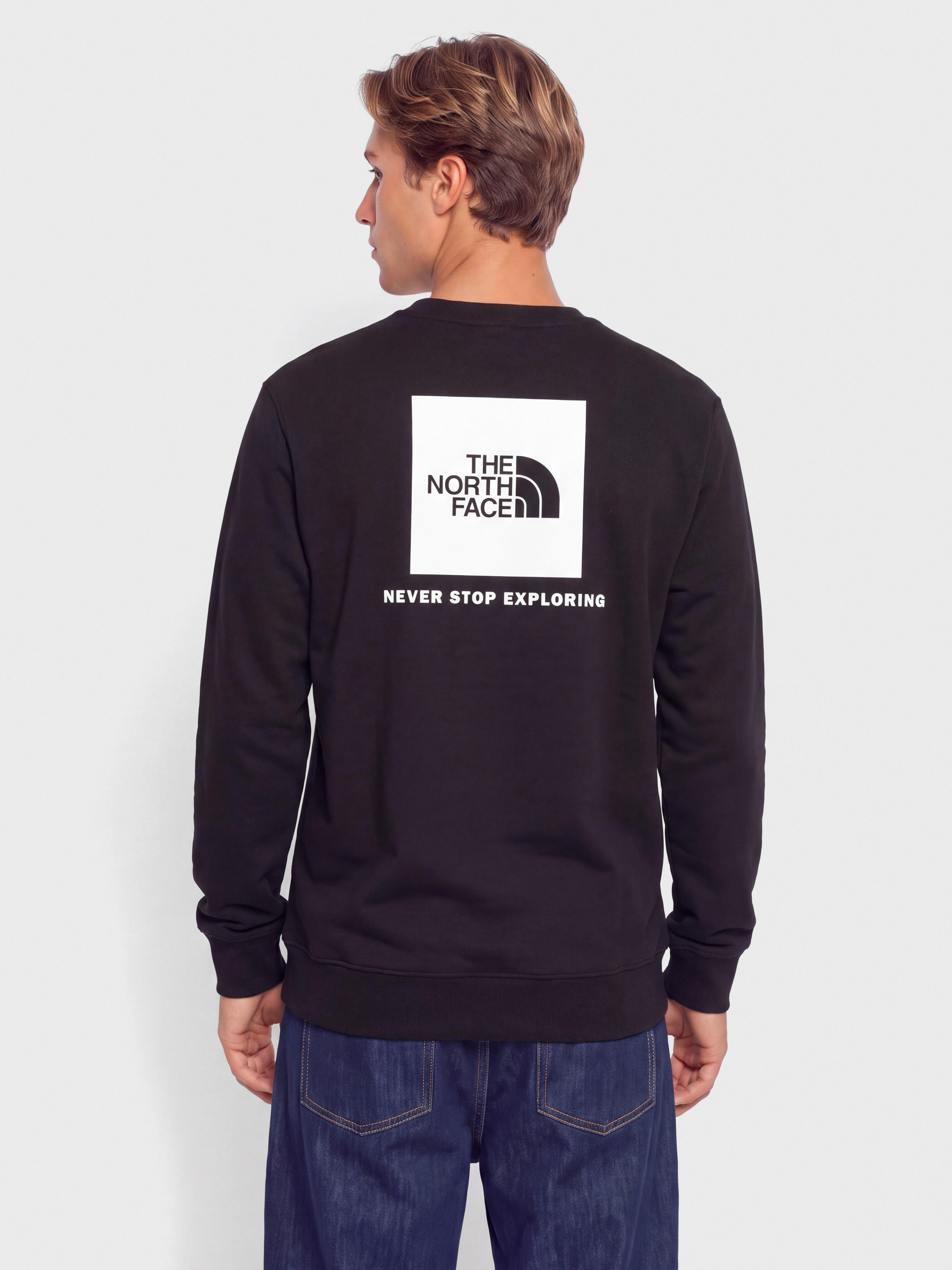 Bluza The North Face Evolution Box Nse Regular (tnf black)