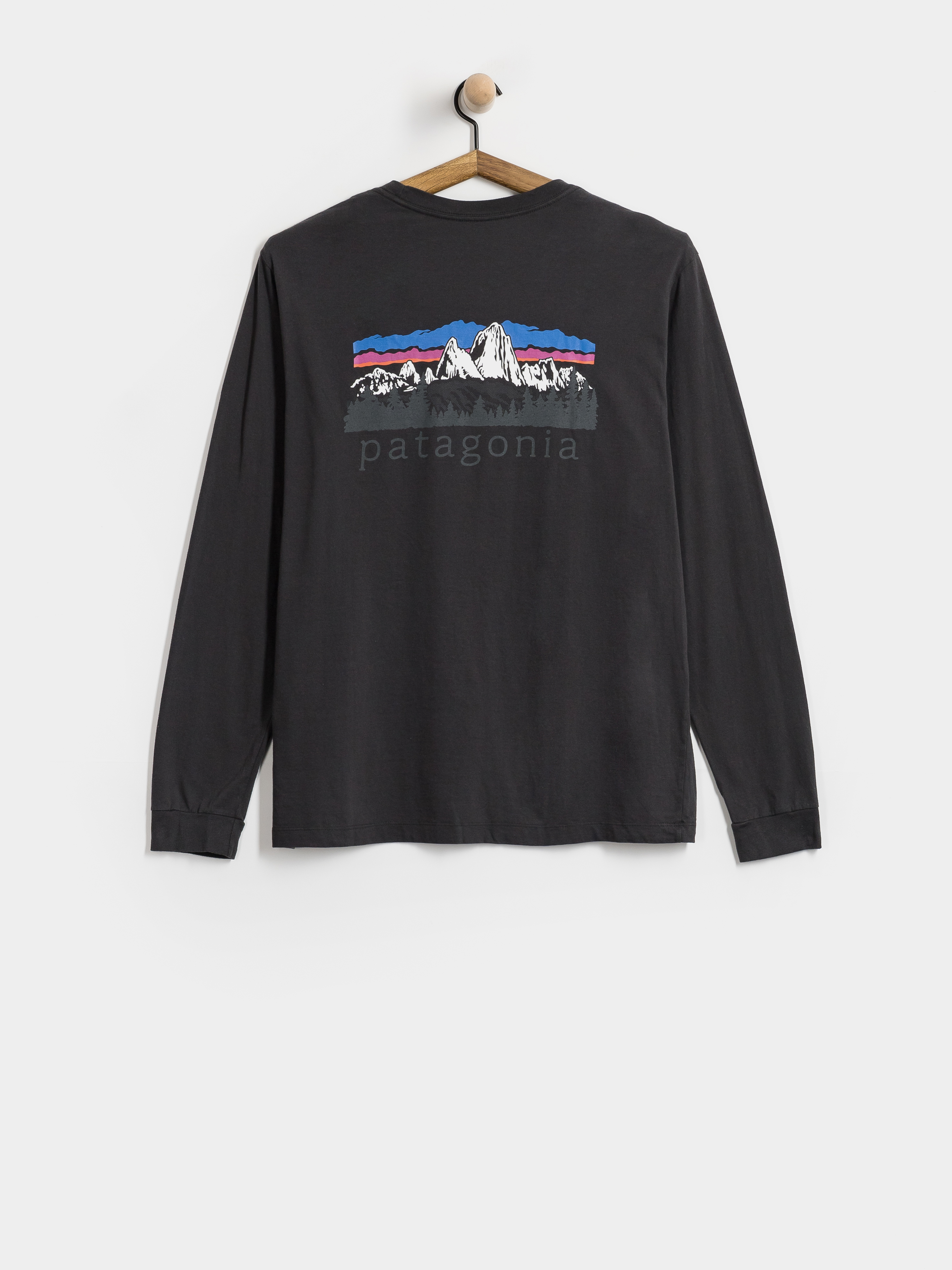Longsleeve Patagonia Fitz Roy Foothills (ink black)