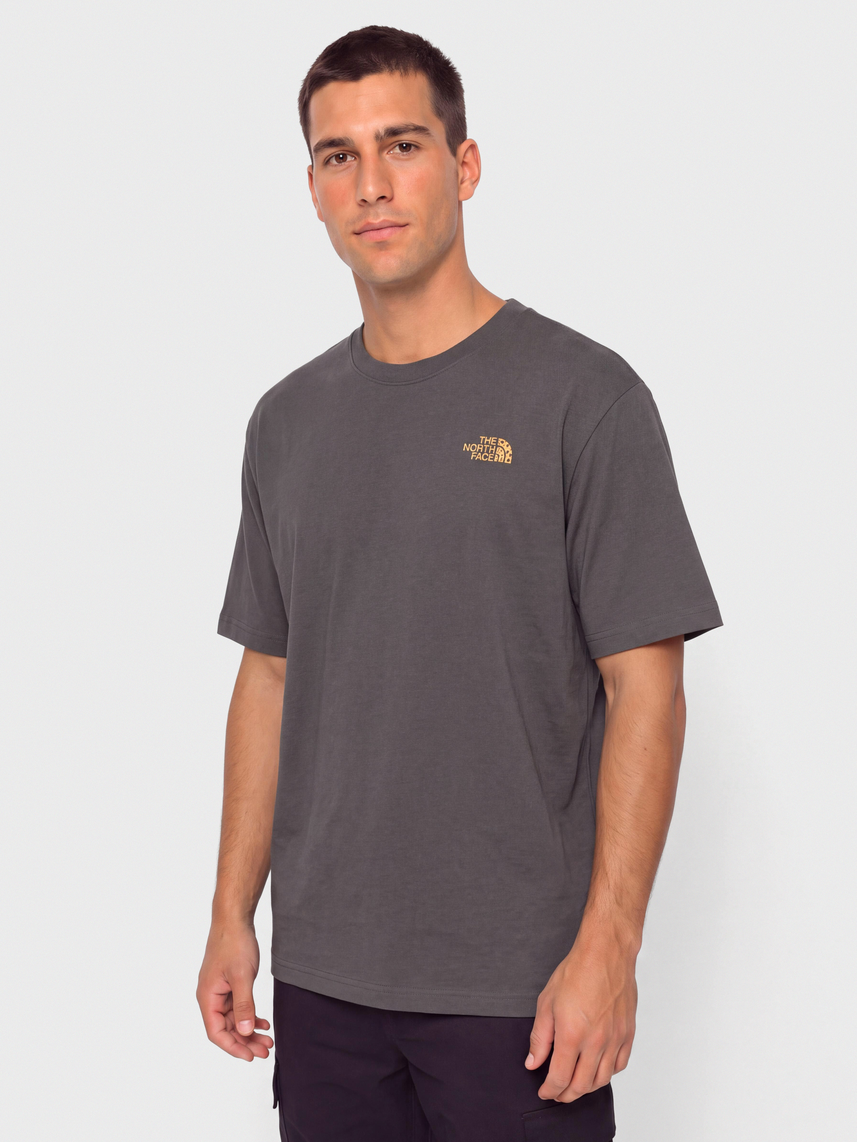 T-shirt The North Face Tnf Snack Relaxed (anthracite grey)