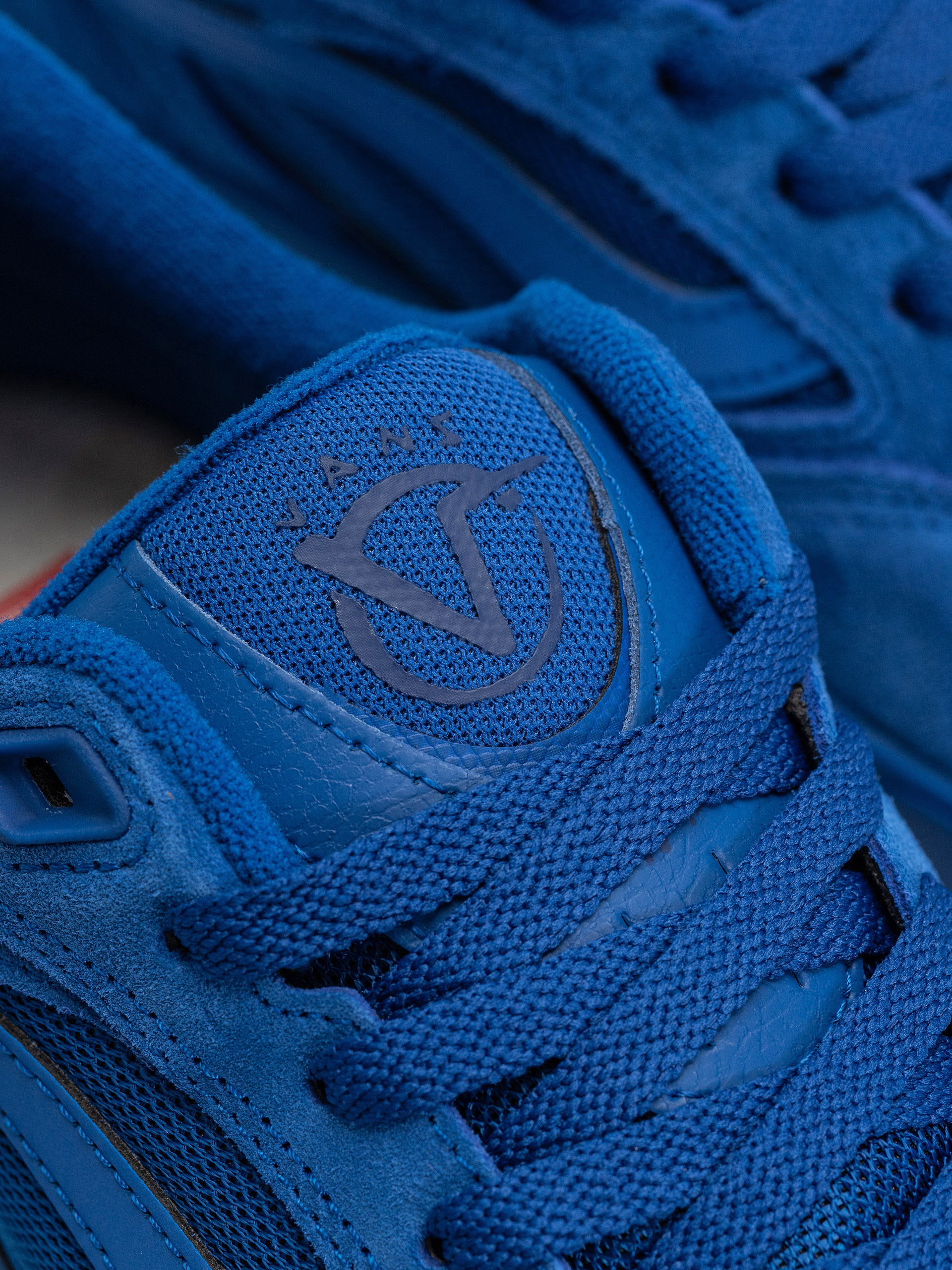 Buty Vans Skate Rowan Z3 (classic blue)