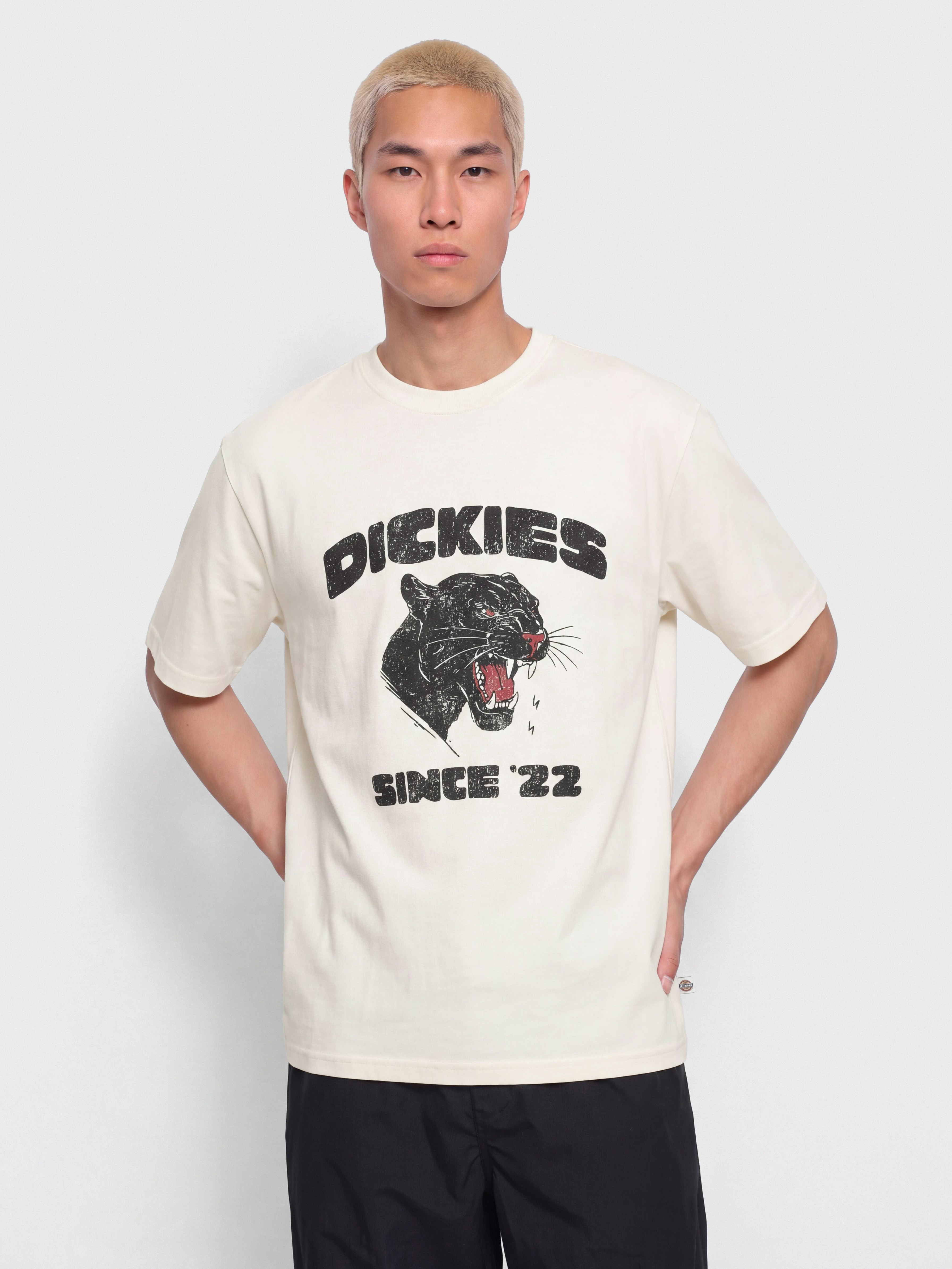 T-shirt Dickies Mcdermitt (egret)