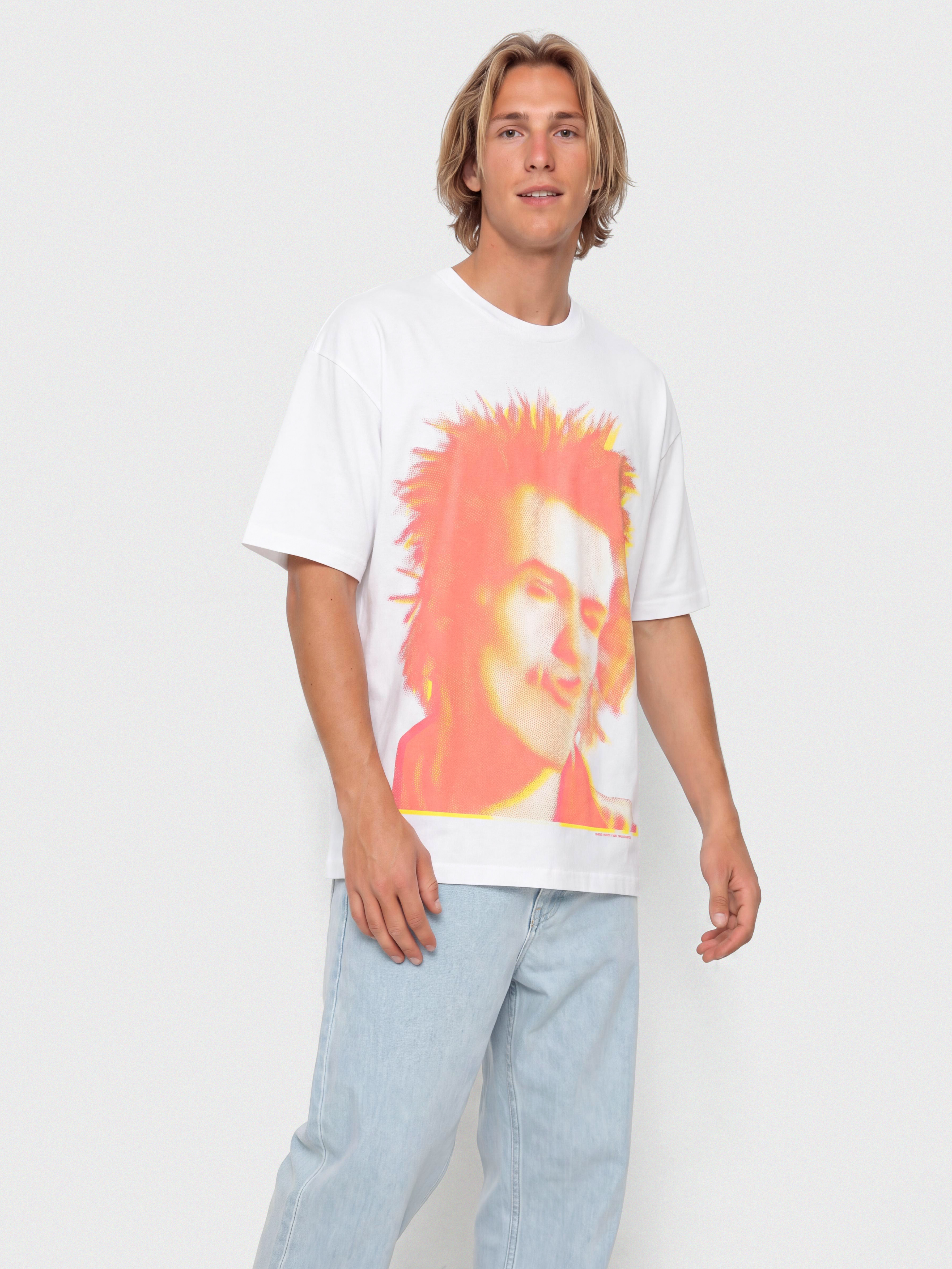 T-shirt Vans Sex Pistols Vicious (white)