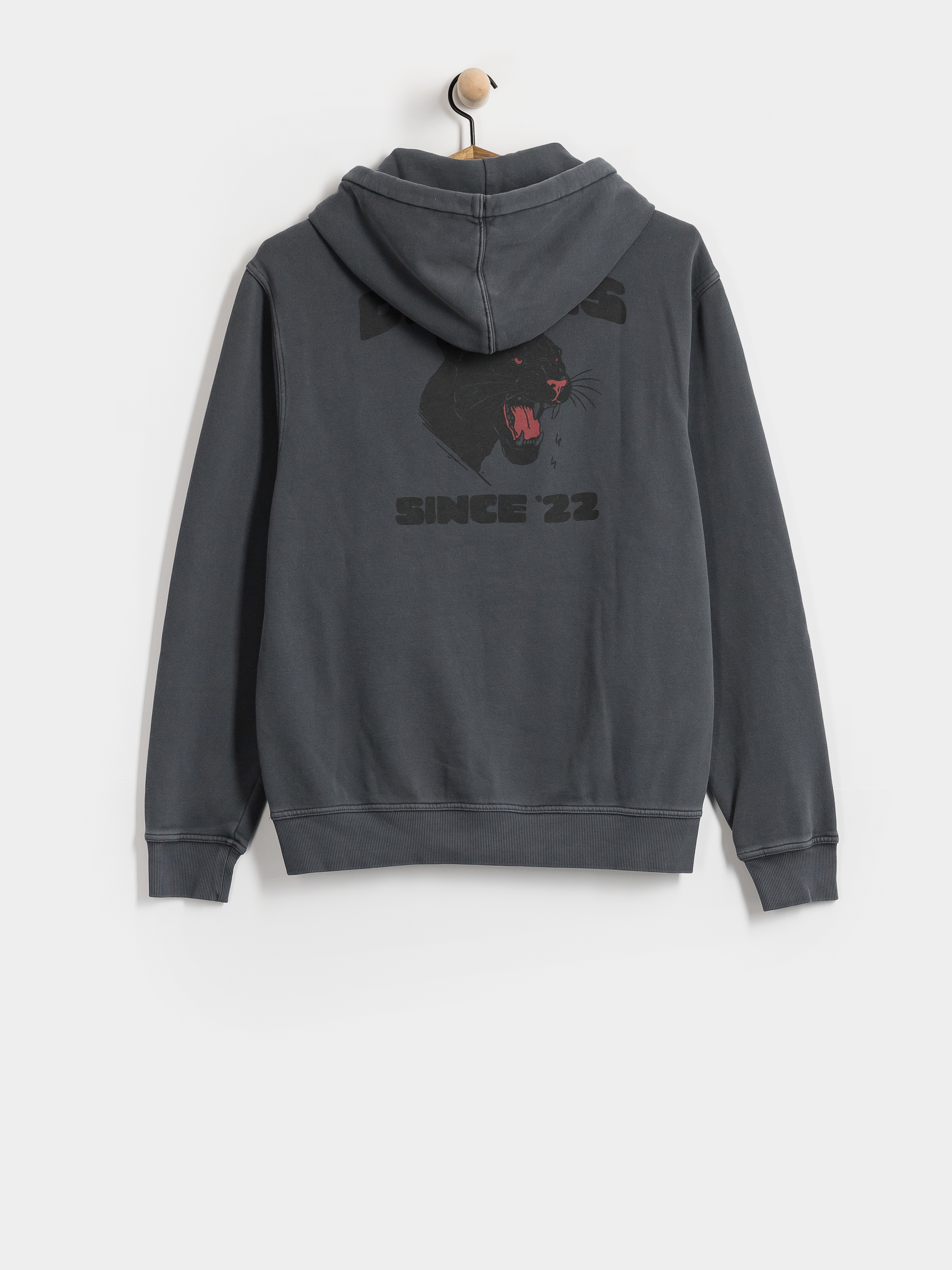 Bluza z kapturem Dickies Mcdermitt HD (charcoal)