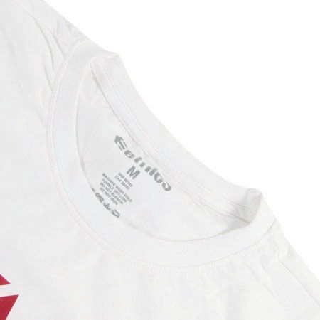 Longsleeve Etnies Shot Caller (white)
