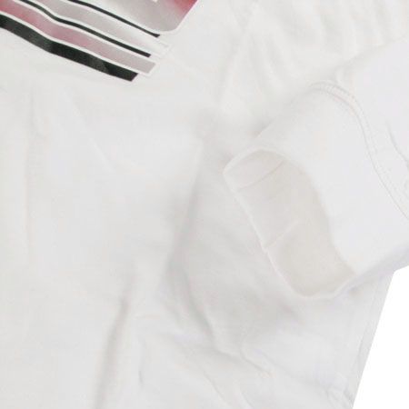 Longsleeve Etnies Shot Caller (white)