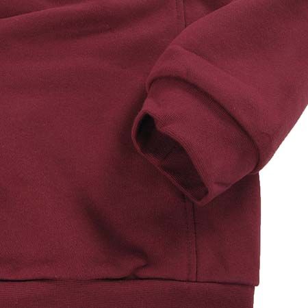 Bluza éS Victory Fleece (oxblood)