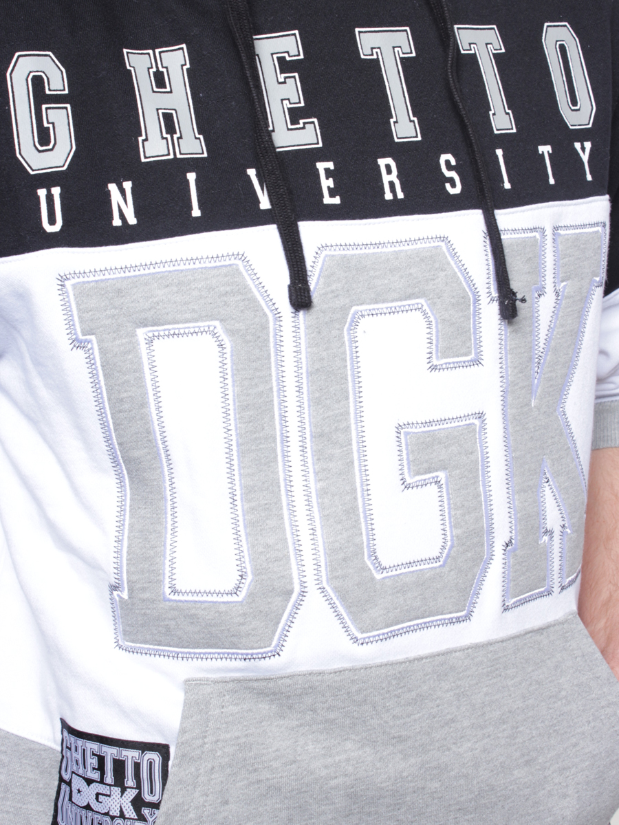 Bluza DGK Honors HD (grey)