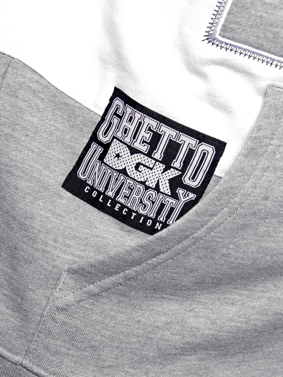 Bluza DGK Honors HD (grey)