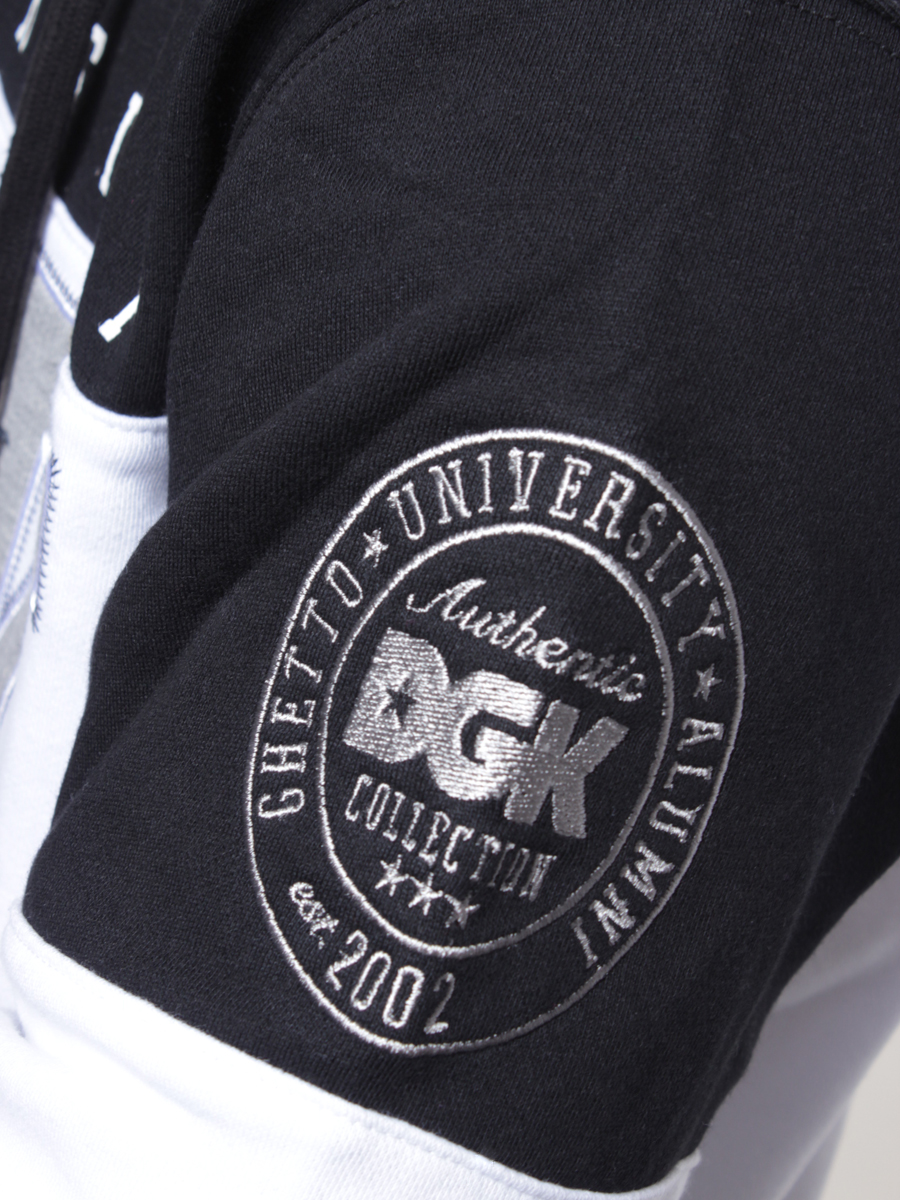 Bluza DGK Honors HD (grey)