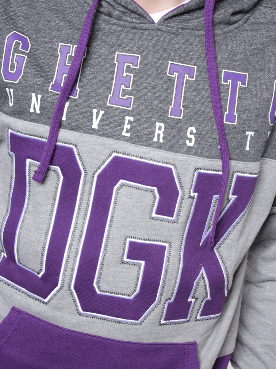 Bluza DGK Honors HD (purple)