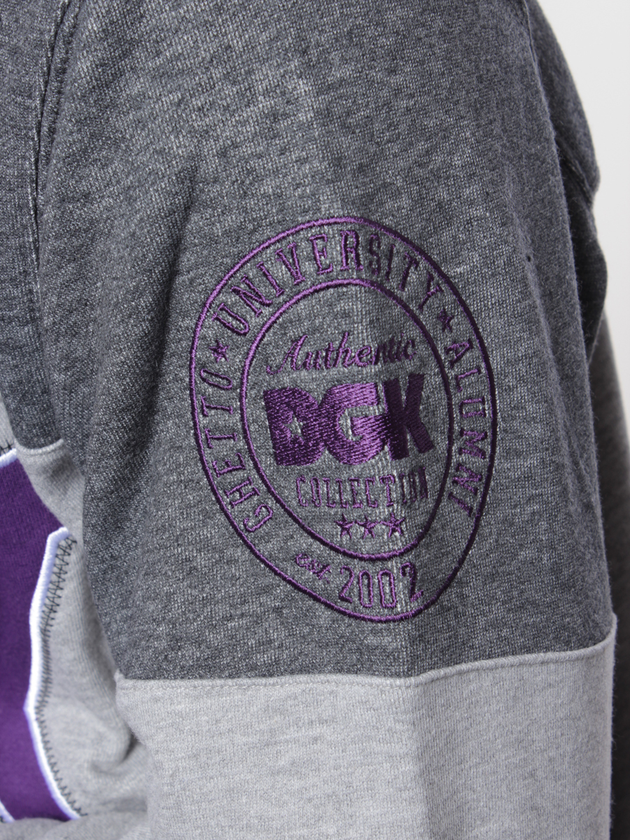 Bluza DGK Honors HD (purple)