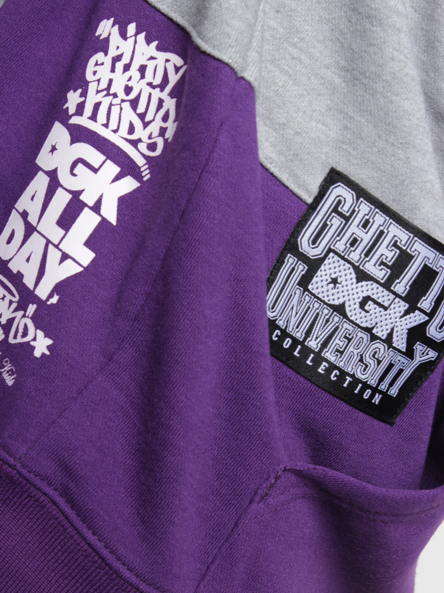 Bluza DGK Honors HD (purple)