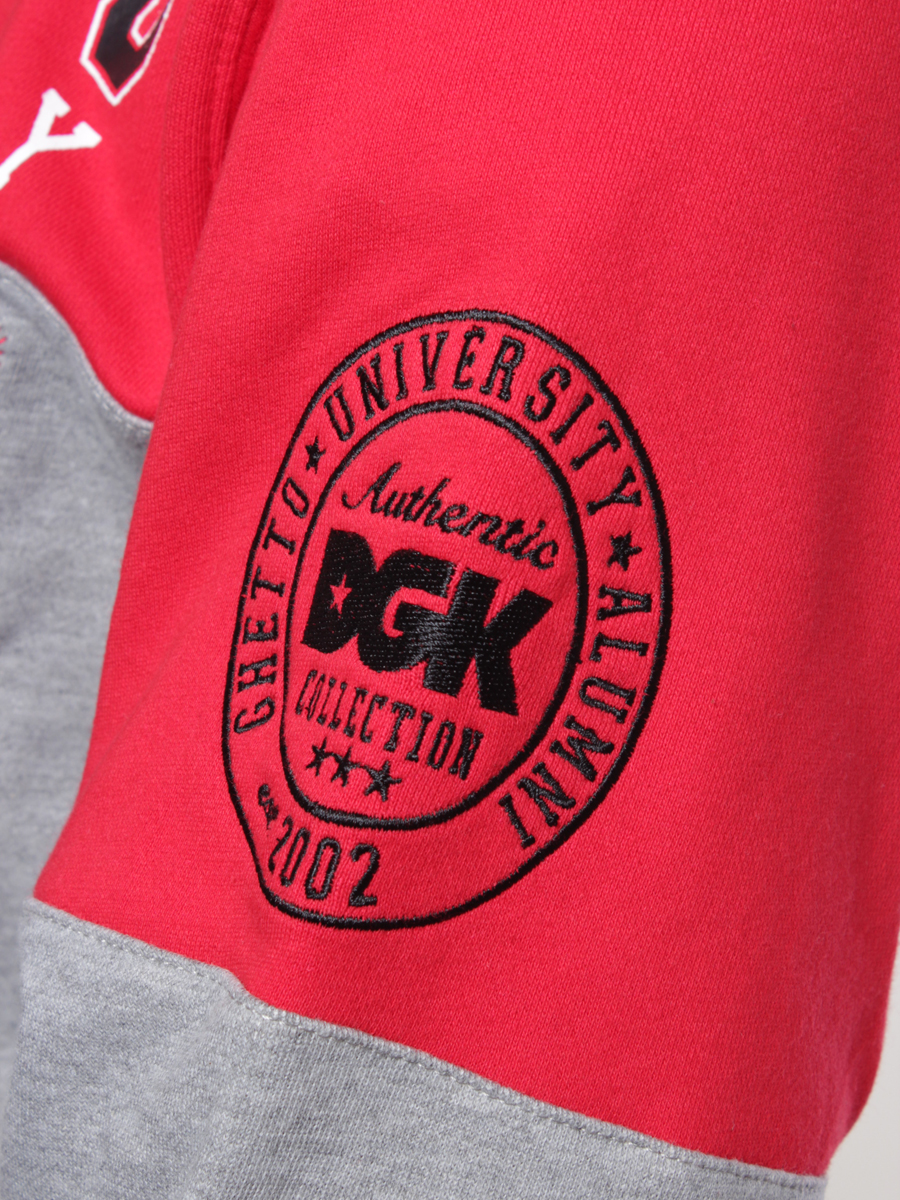 Bluza DGK Honors HD (red)