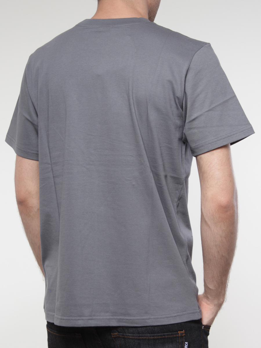 T-Shirt Carhartt Egghartt (tin/multicolor) 