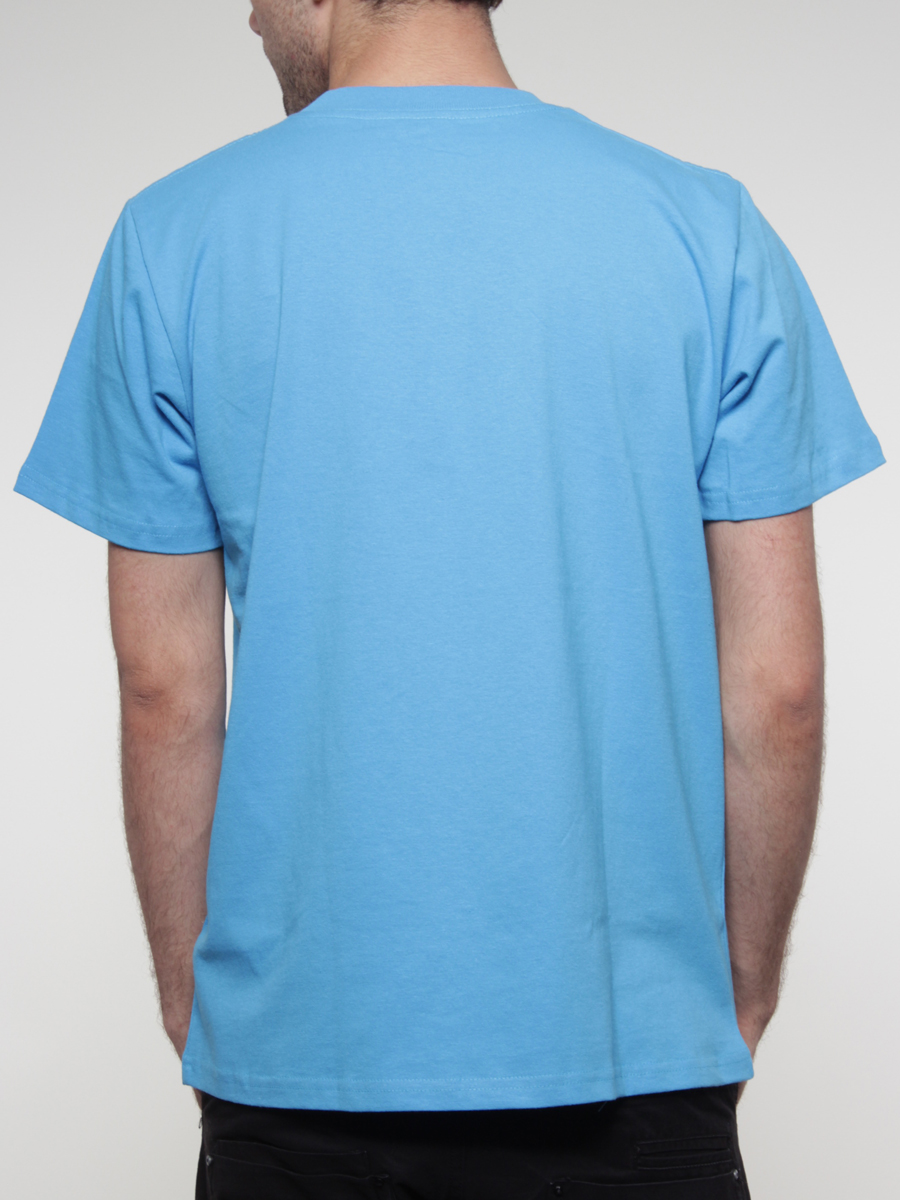 T-Shirt Carhartt College (pour/white) 