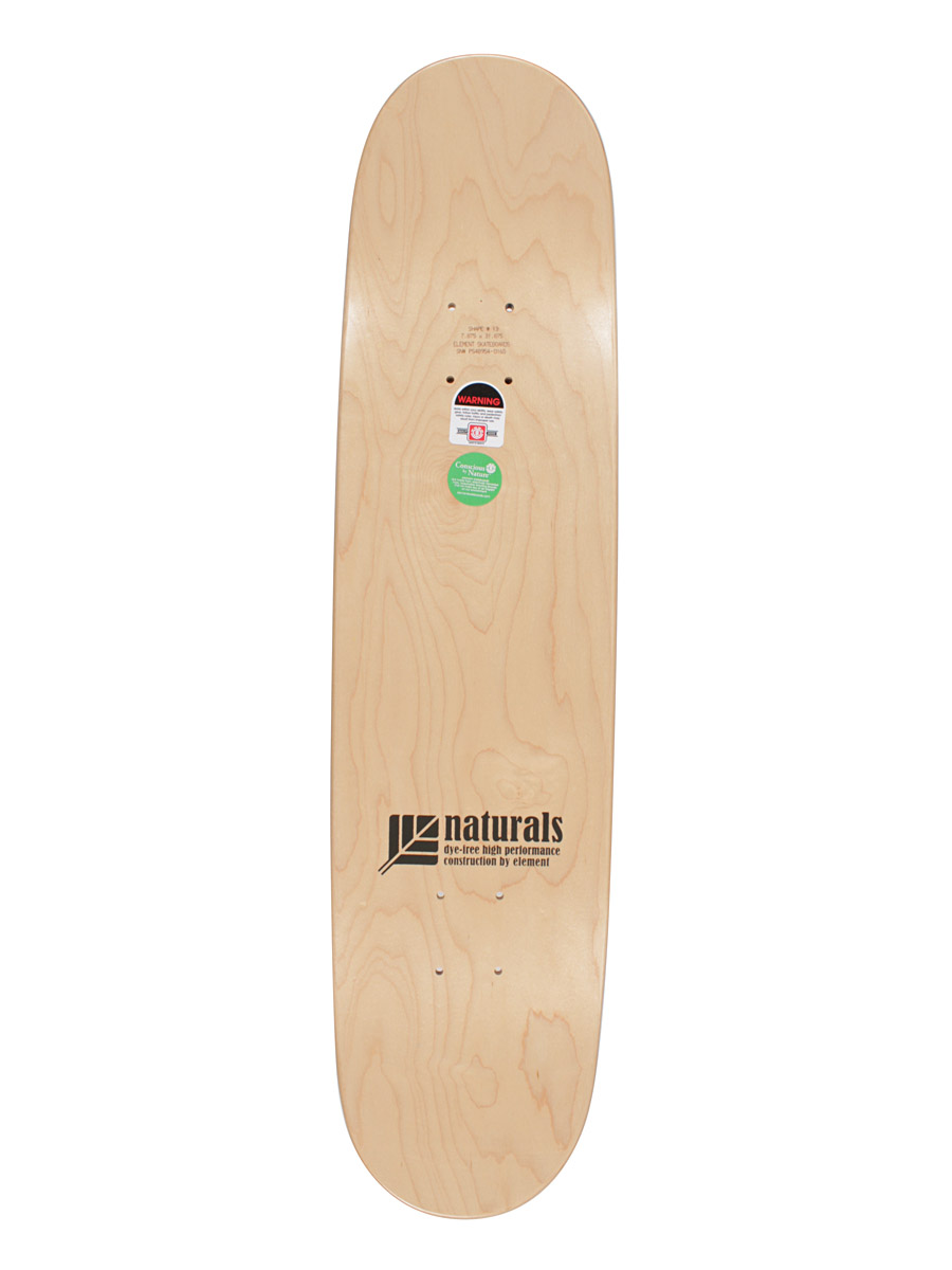 Deck Element Levi Ferocity 7.875''