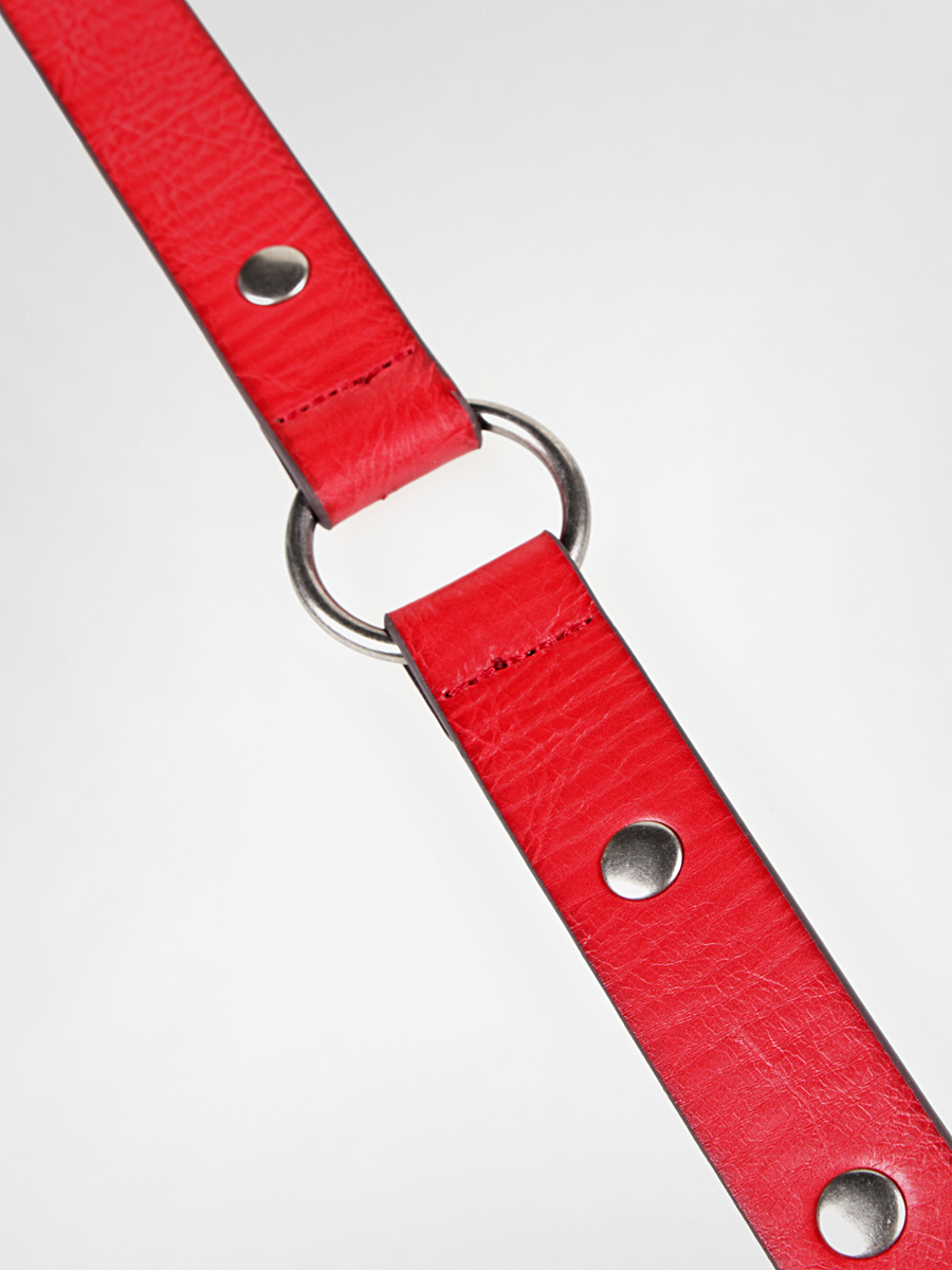Pasek Vans Connected Wmn (paprika)