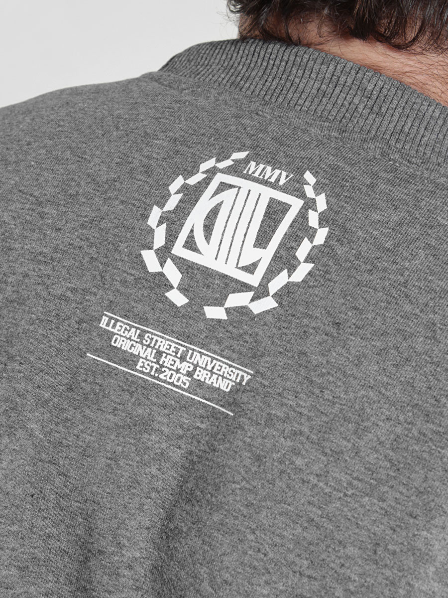 Bluza Diil Gang Dr Joint (szary melanż)