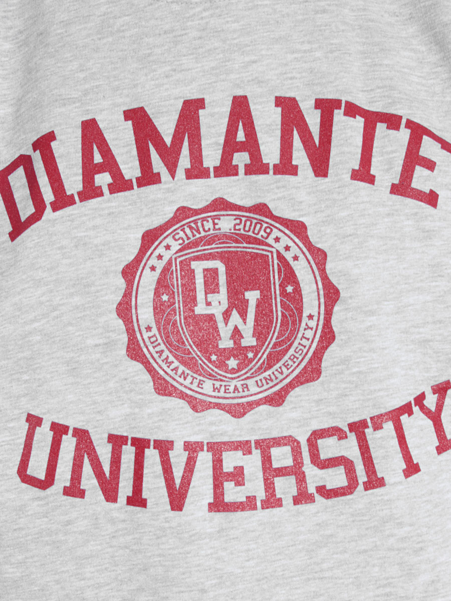 Bluza Diamante Diamante University (szara)