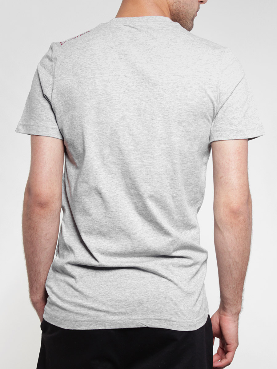 T-Shirt Emerica Triangle 7.0 (grey/red)