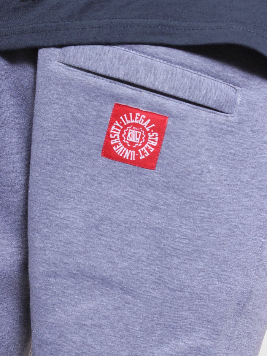 Spodnie dresowe Diil 01 (szary)