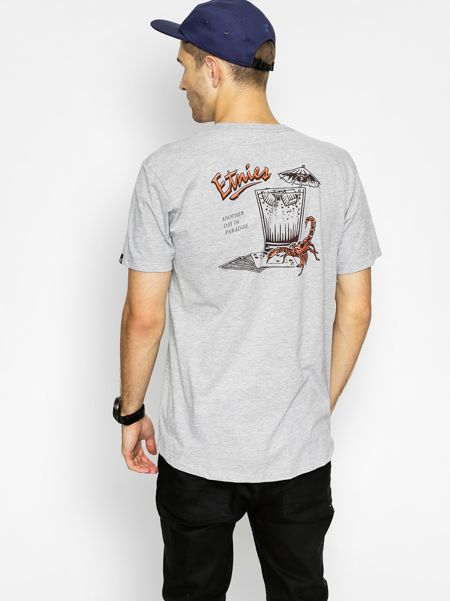 T-shirt Etnies Another Day (grey/heather)