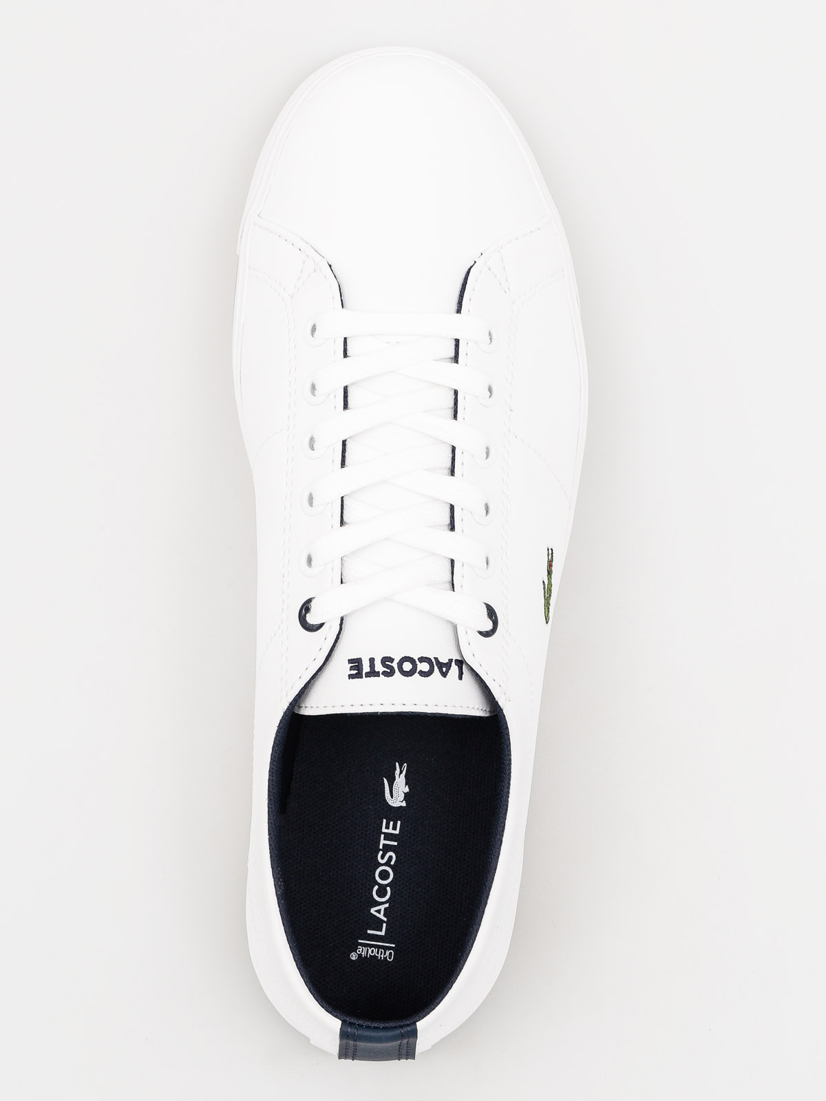 Buty Lacoste Marcel 117 1 Caj Wmn (white/navy syn)