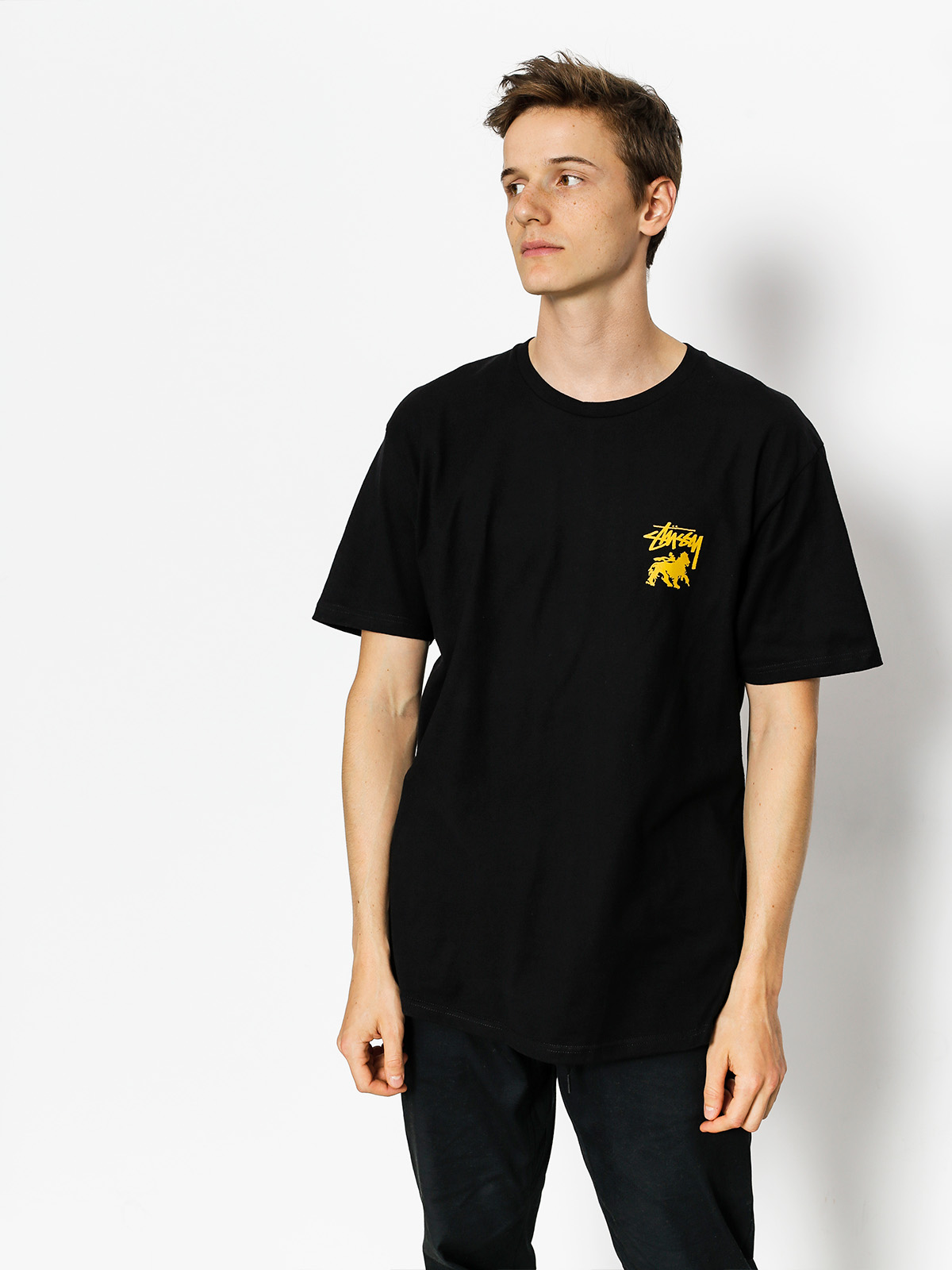 T-shirt Stussy Stock Lion (black)
