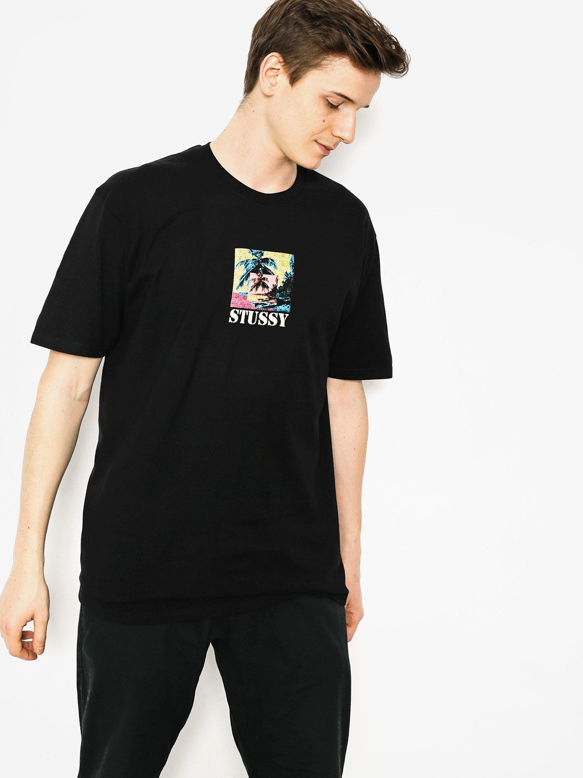 T-shirt Stussy Escape (black)