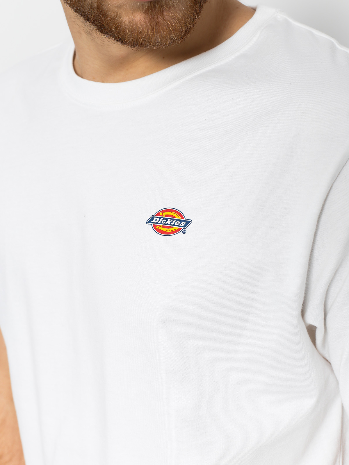T-shirt Dickies Stockdale (white)